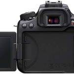 Cámaras fotográficas Canon 90D: características y especificaciones